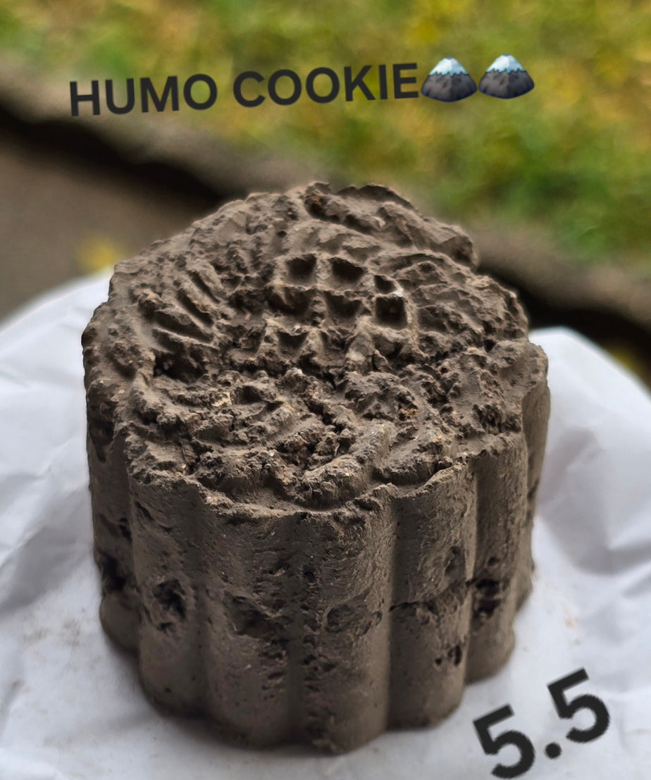 GALLETA HUMO