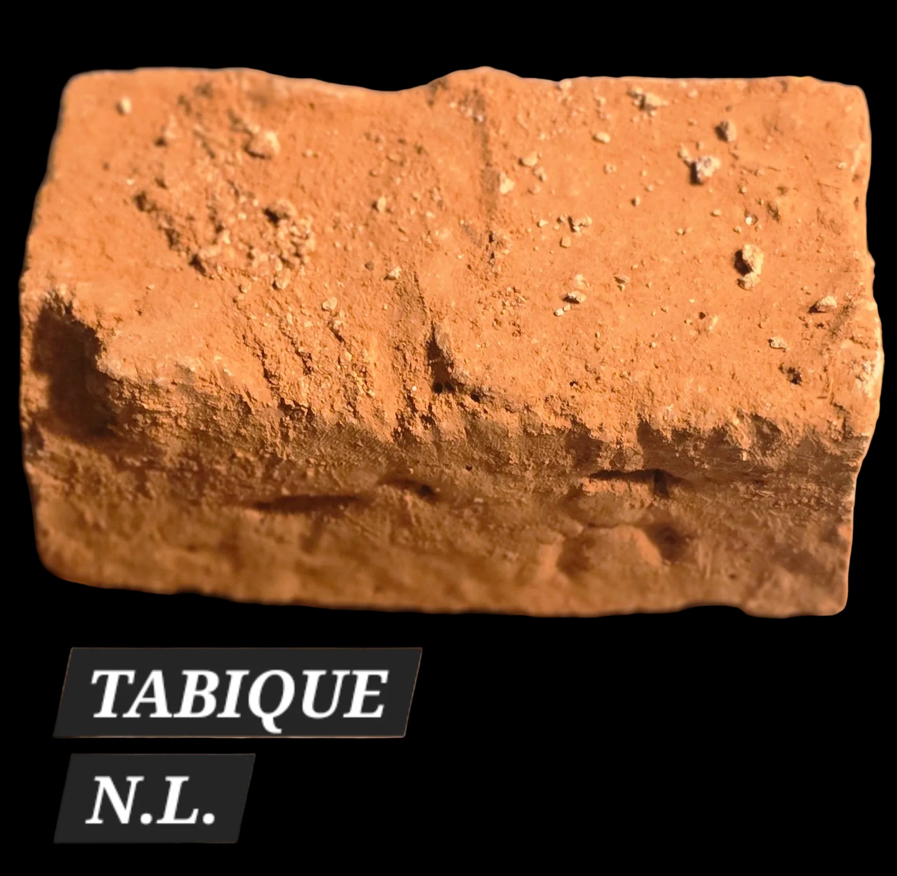 TABIQUE N.L. PESO ESTIMADO 270 GRAMOS.