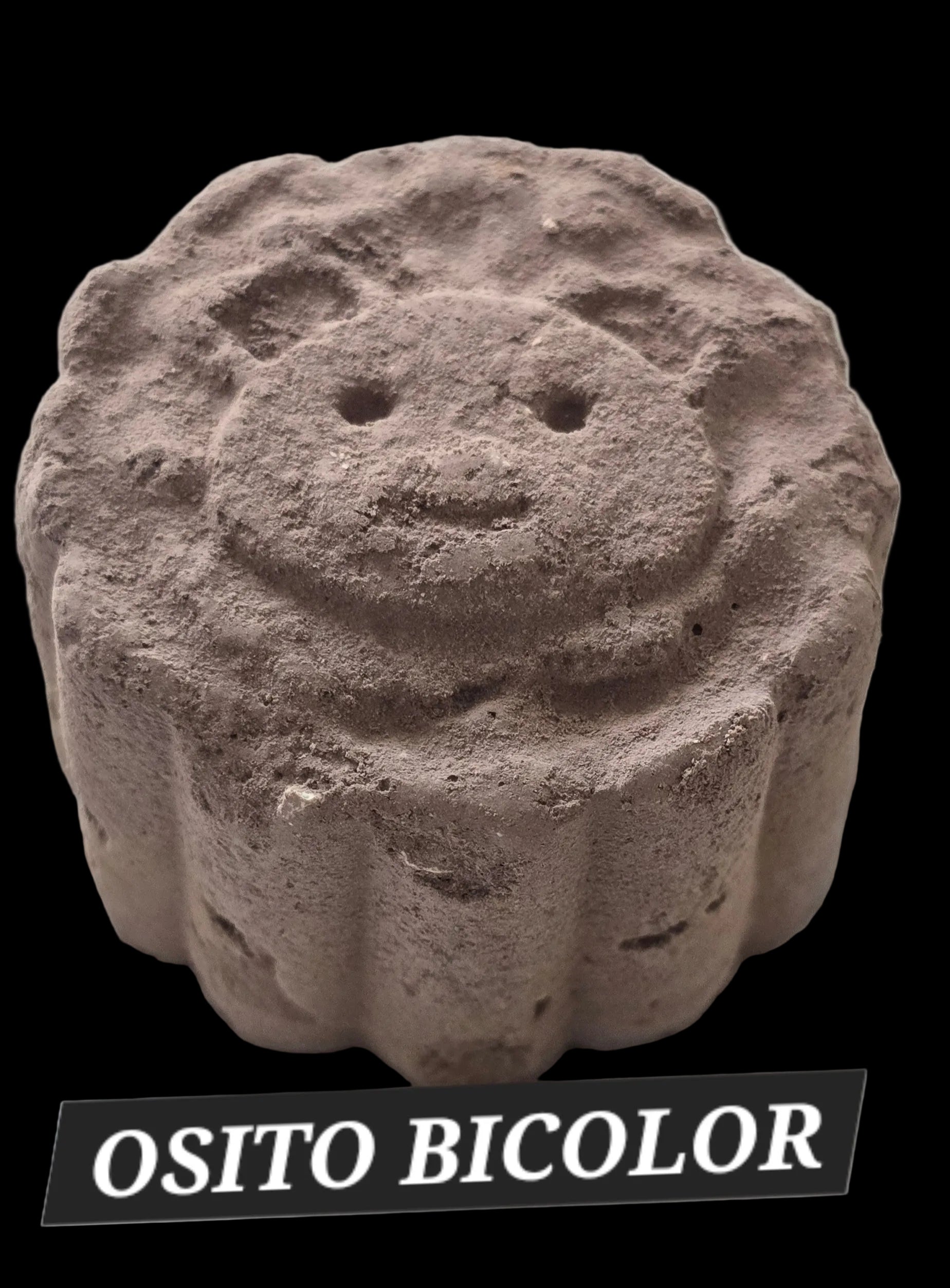 OSITO BICOLOR