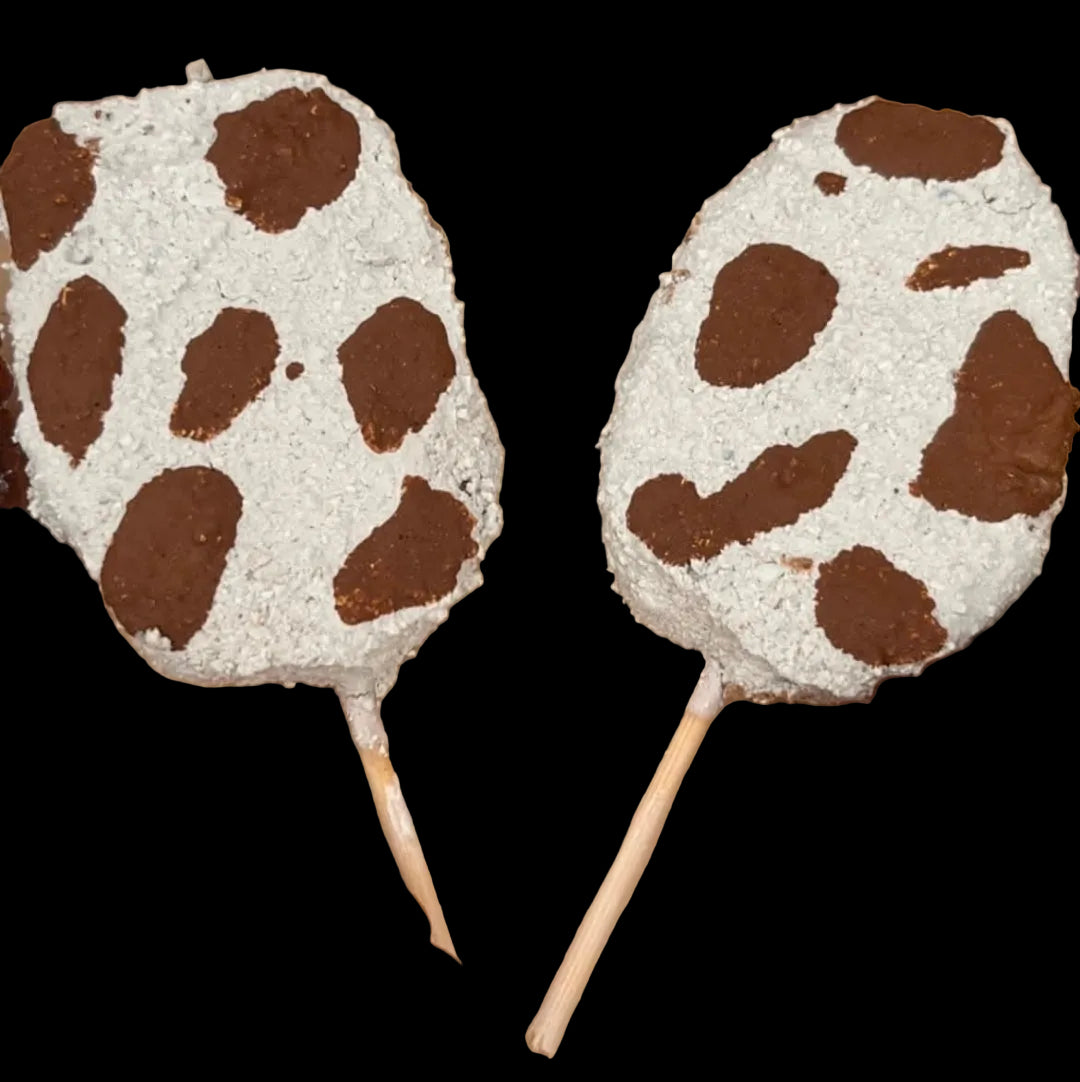 VAQUITA RICHI