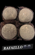 RAFAELO PACK OF 2