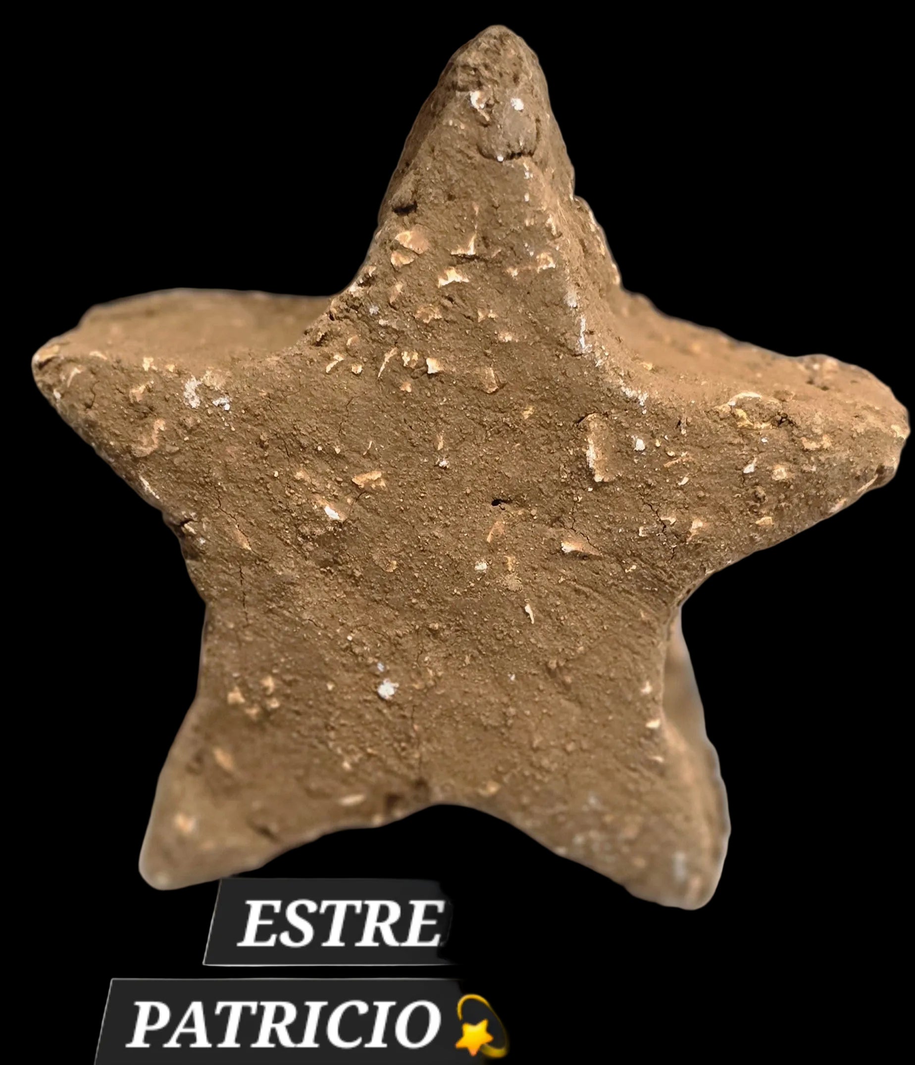 ESTRELLA PATRICIO