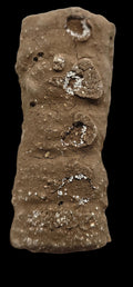 CHOCMELIS