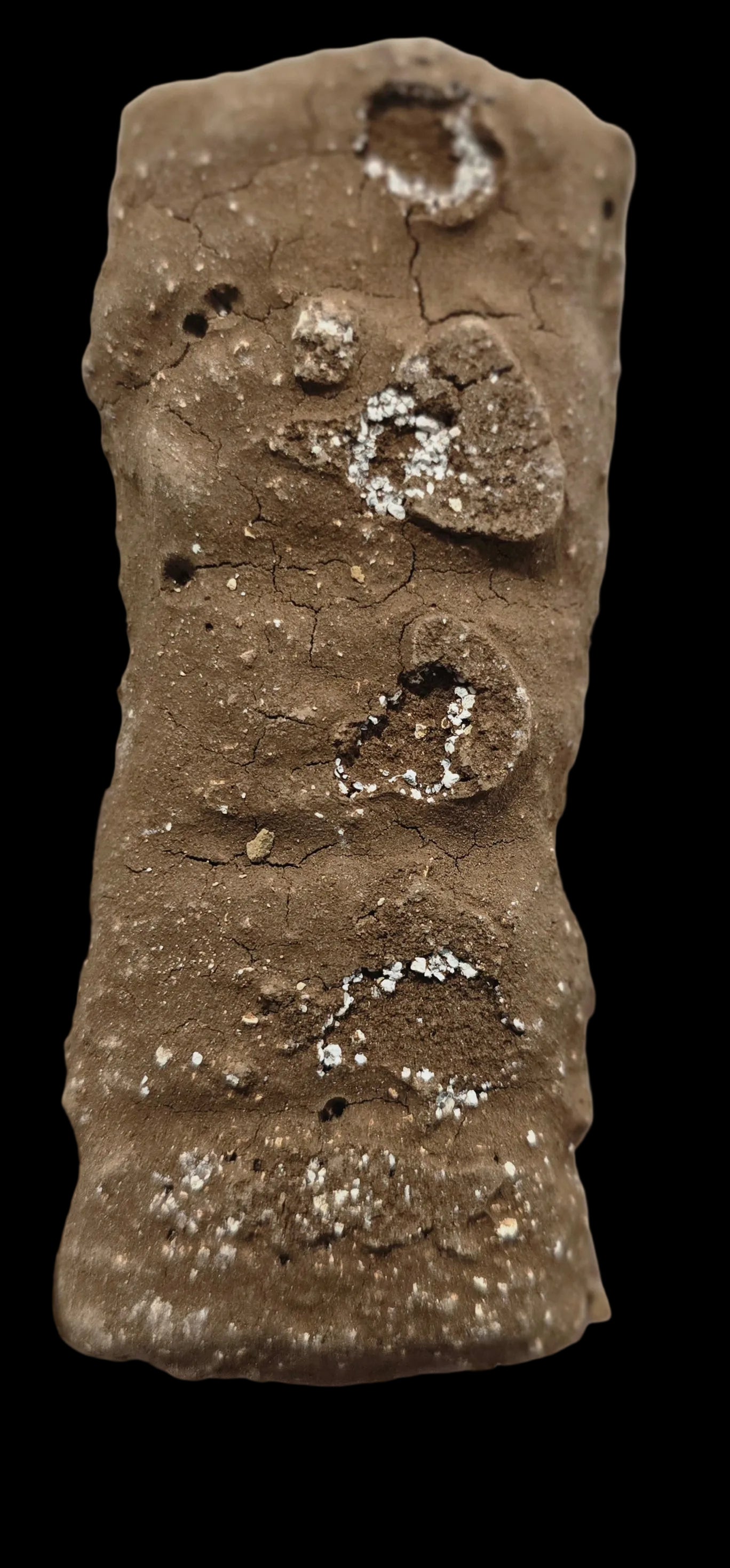 CHOCMELIS