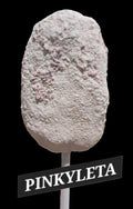 PINKYLETA