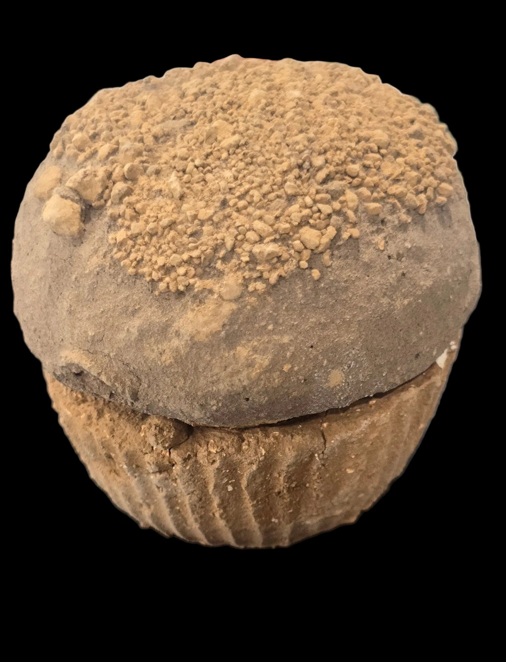MANTECADAS REYNA