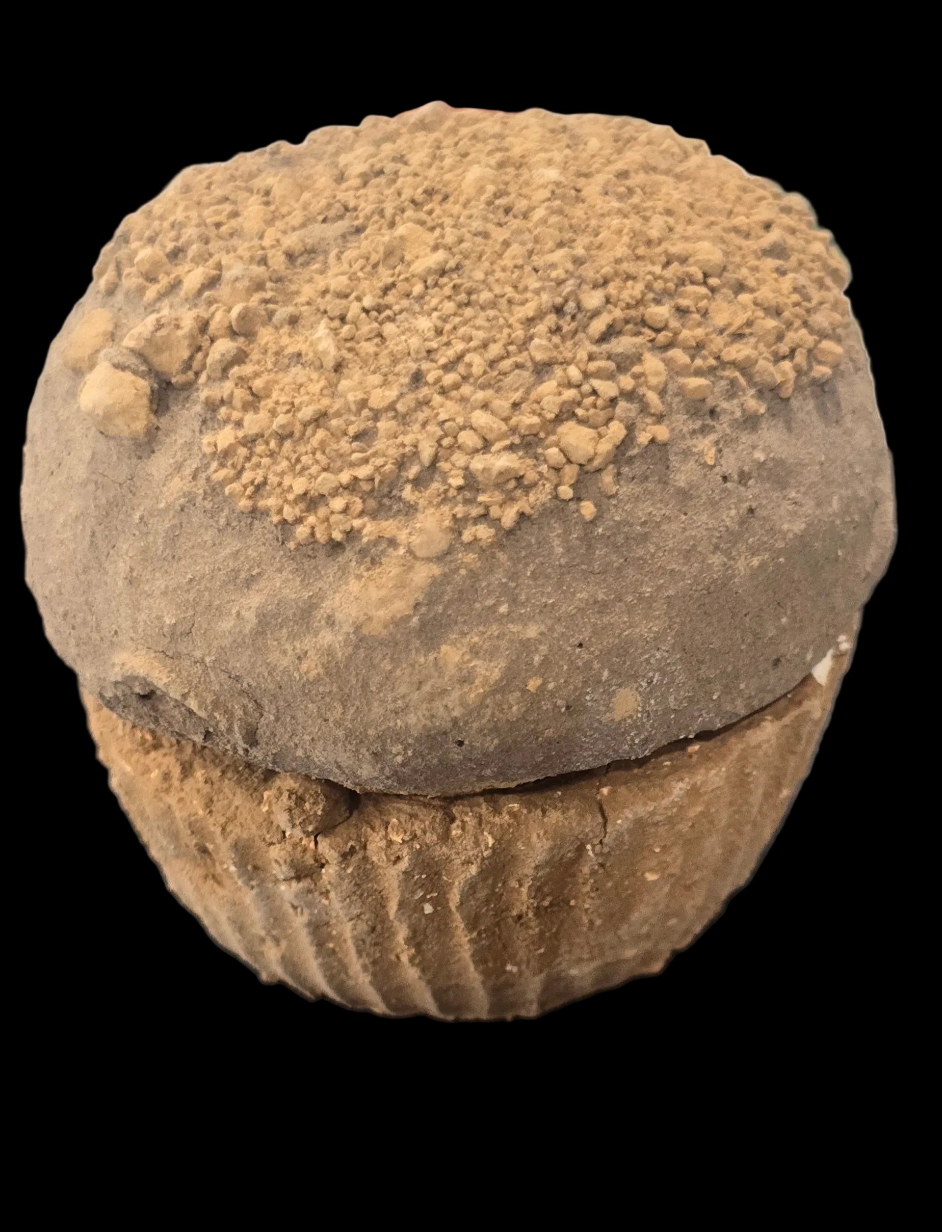 MANTECADAS REYNA