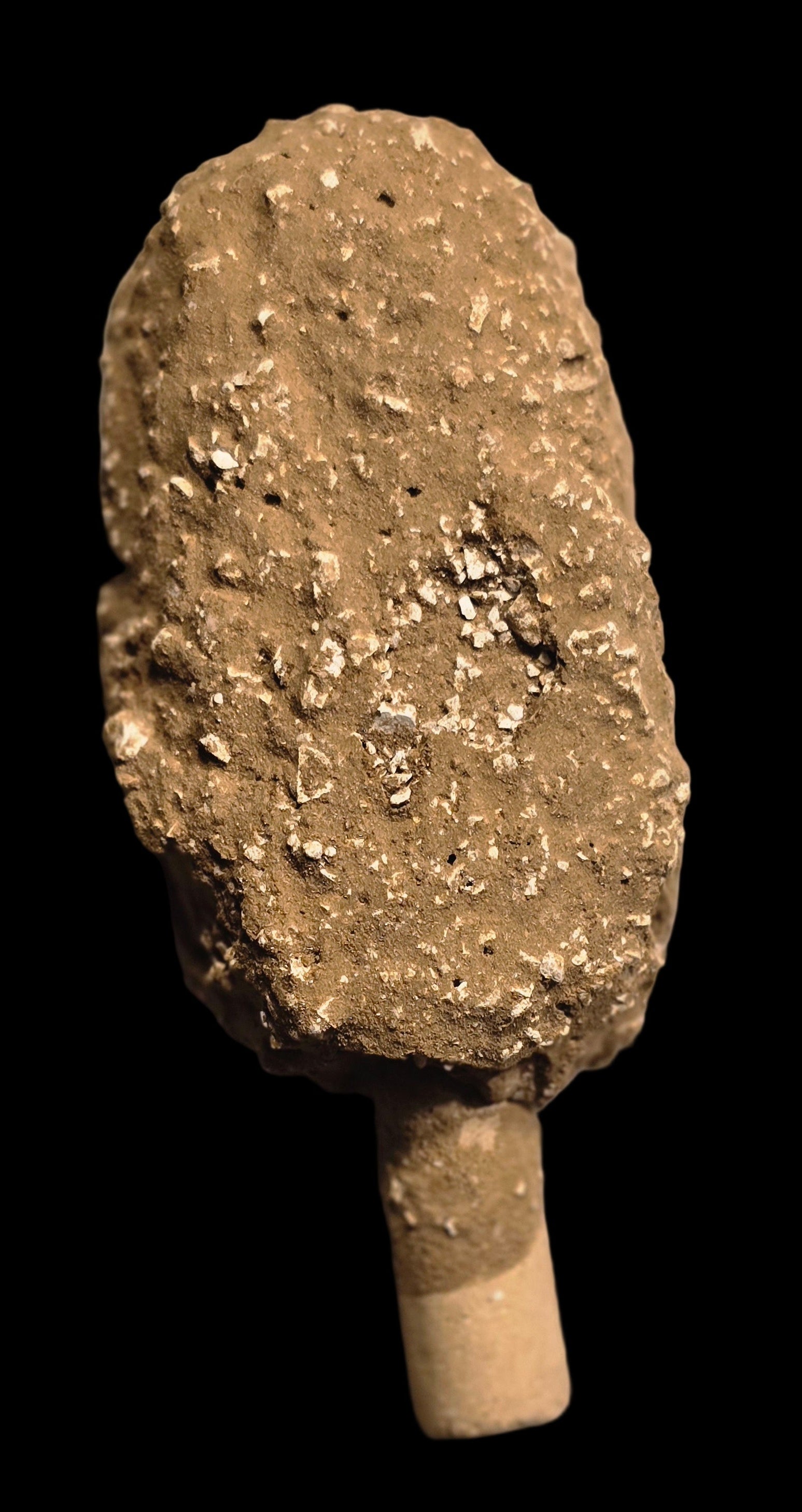 PALETA DUUM