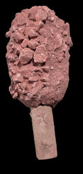PALETA CACAO