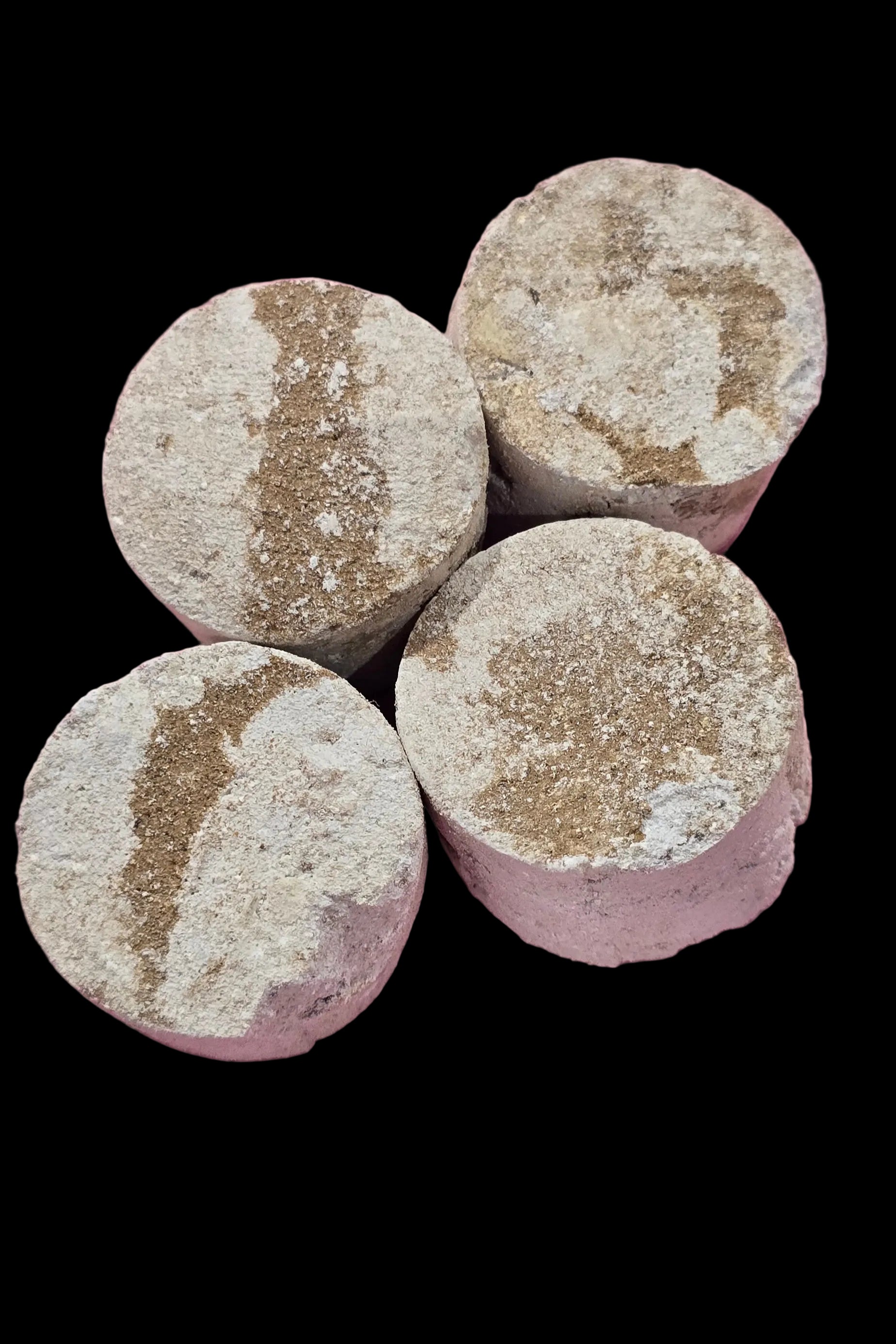 Mocca Bites 4 pack