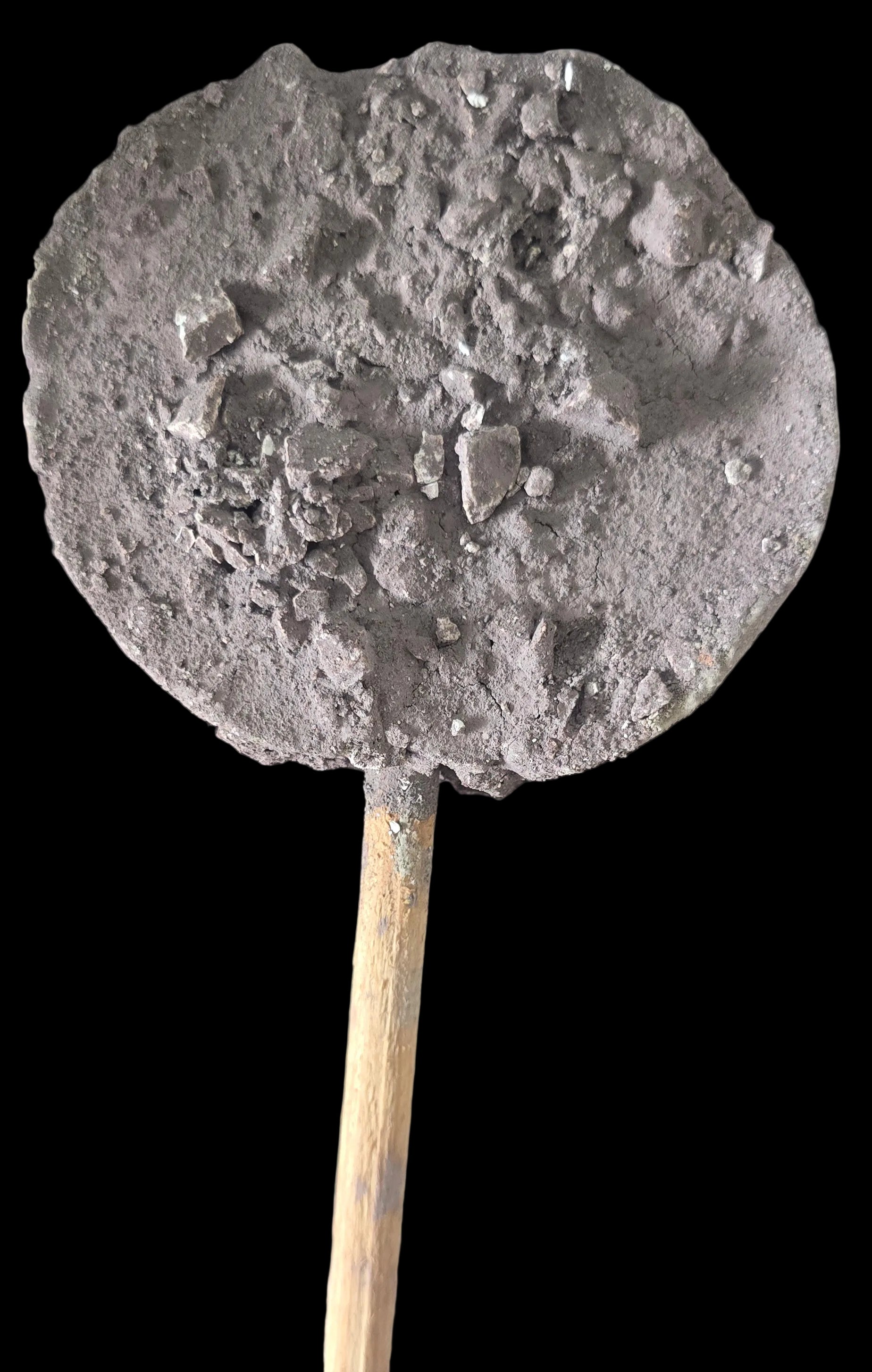 PALETA GIGANTE UVA NIEVE