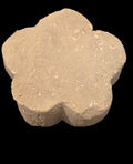 GALLETA CAPUCHINO