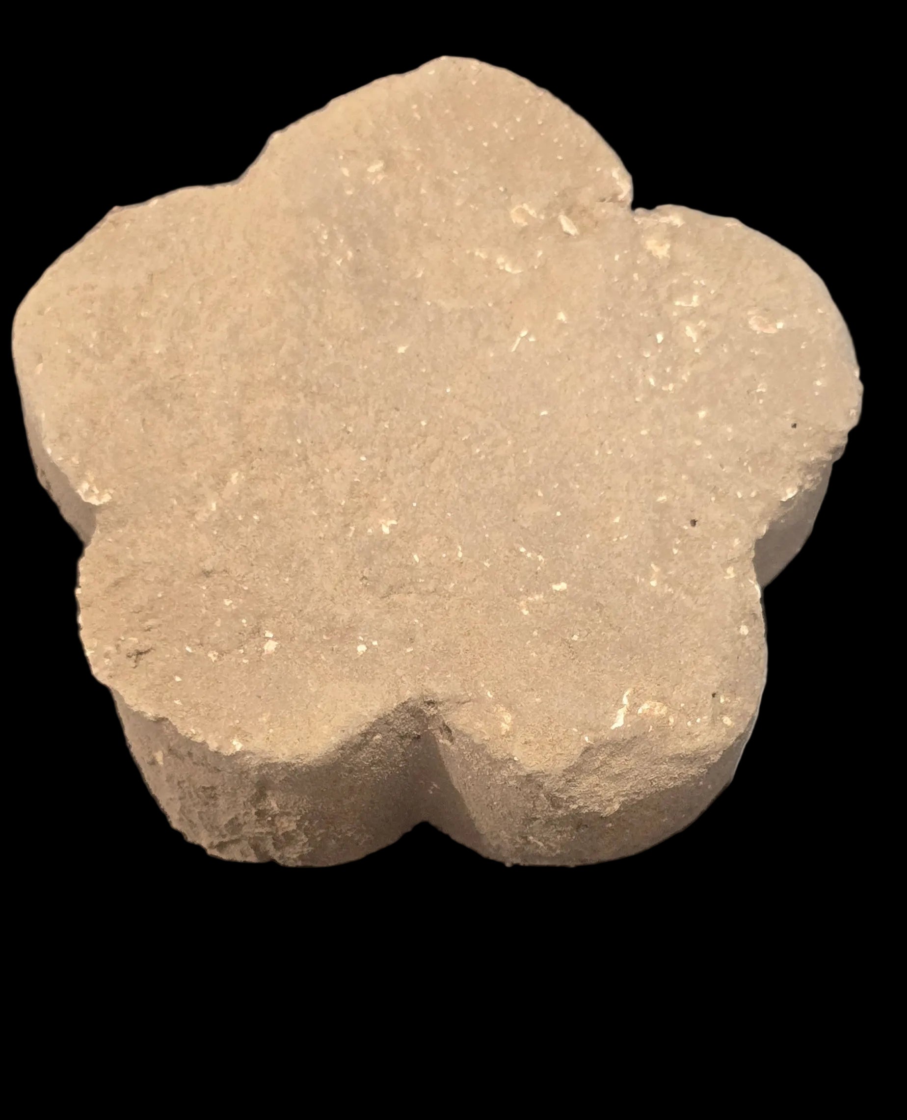 GALLETA CAPUCHINO