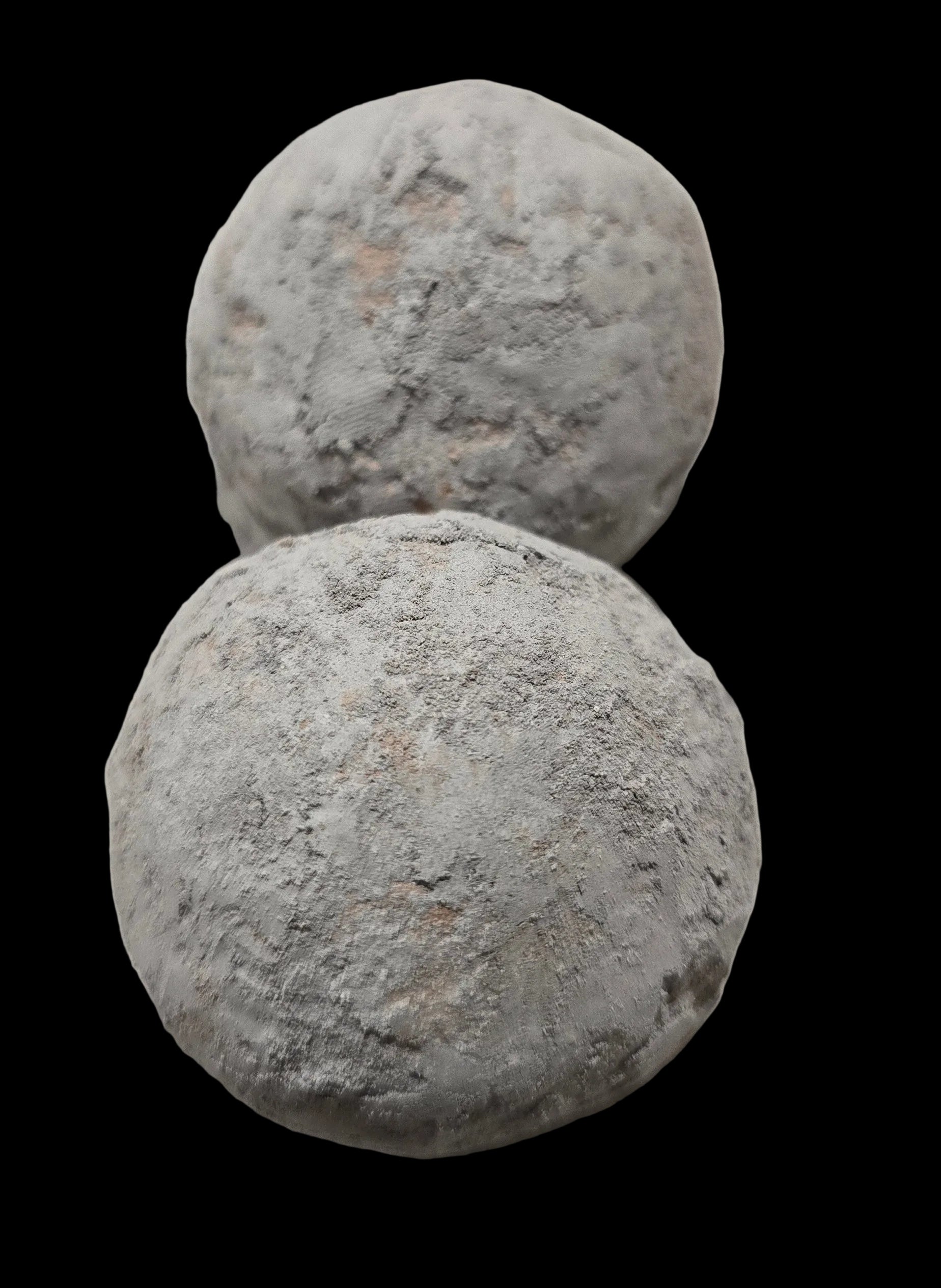 BOLI INDIA PACK OF 2