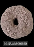 DONA ALGODON
