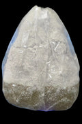 ONIGIRI DELICIAS PESO ESTIMAD0 530 A 550 GRAMOS