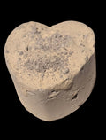 PASTELITO JASPE