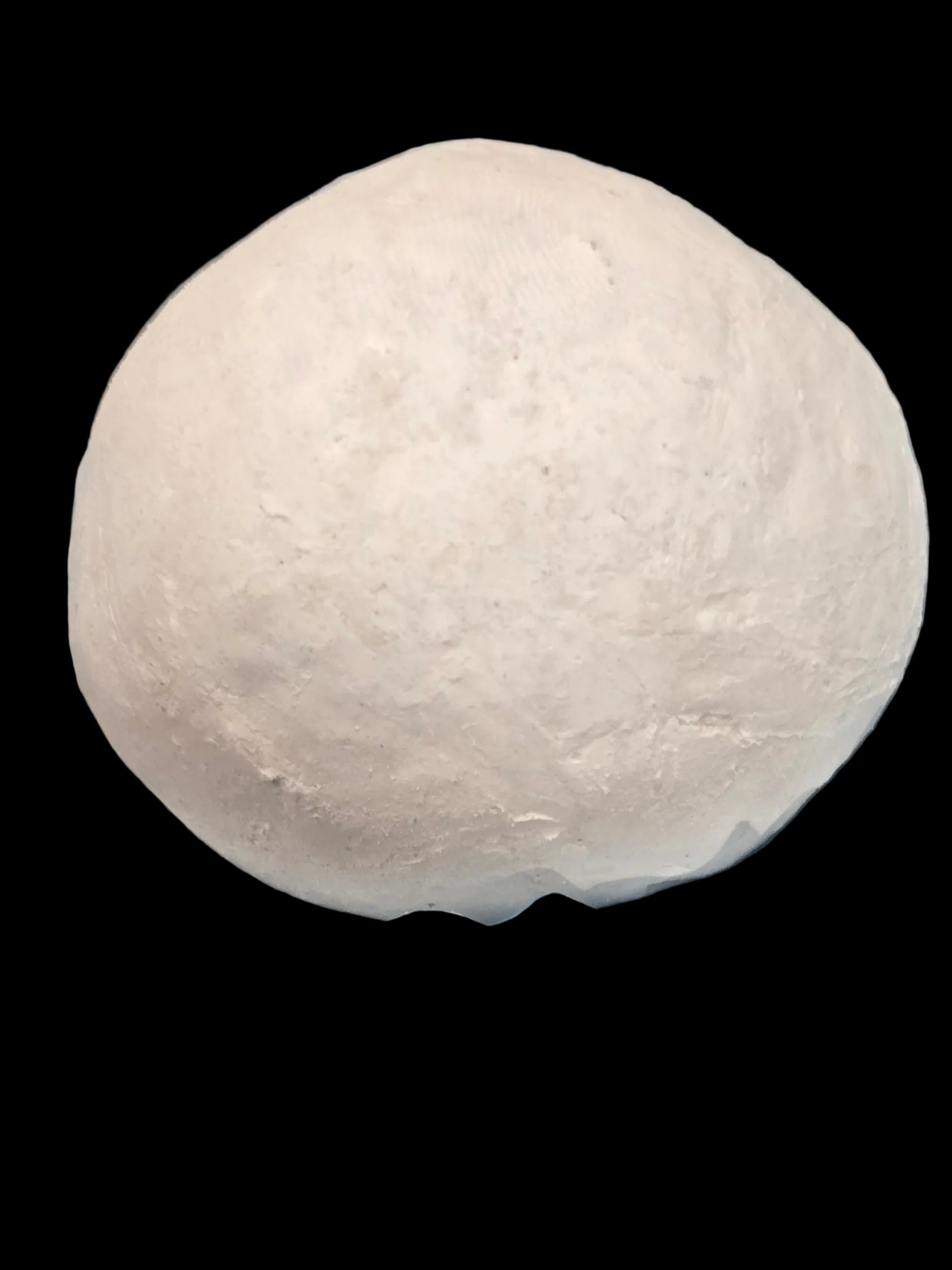 TRUFA BLANCA
