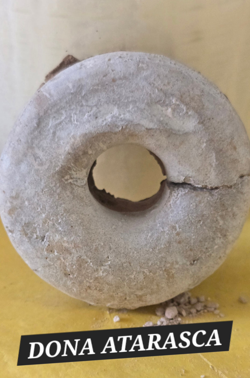 DONUT BUNDLE 8 PZAS.