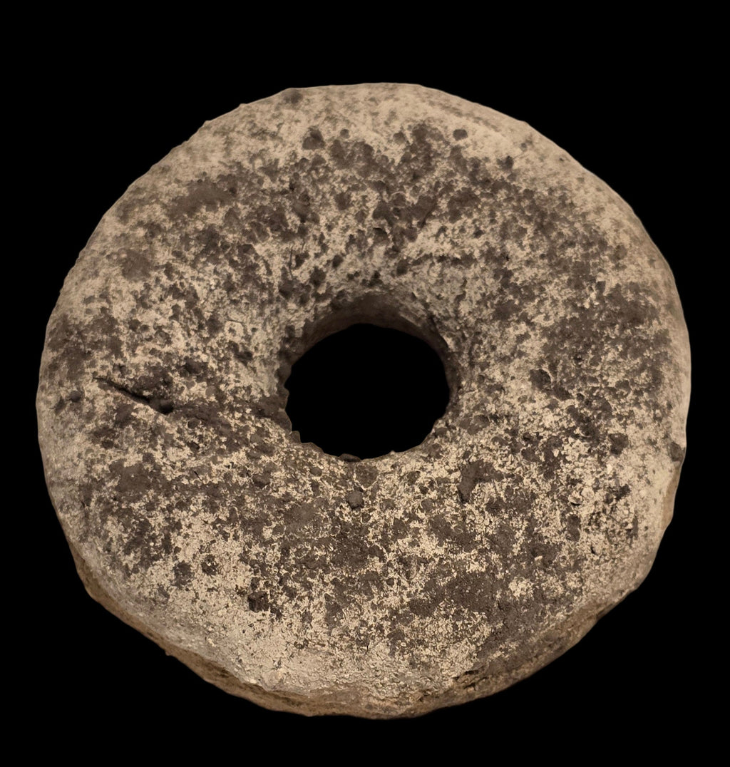 DONUT BUNDLE 8 PZAS.