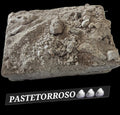PASTERROSO