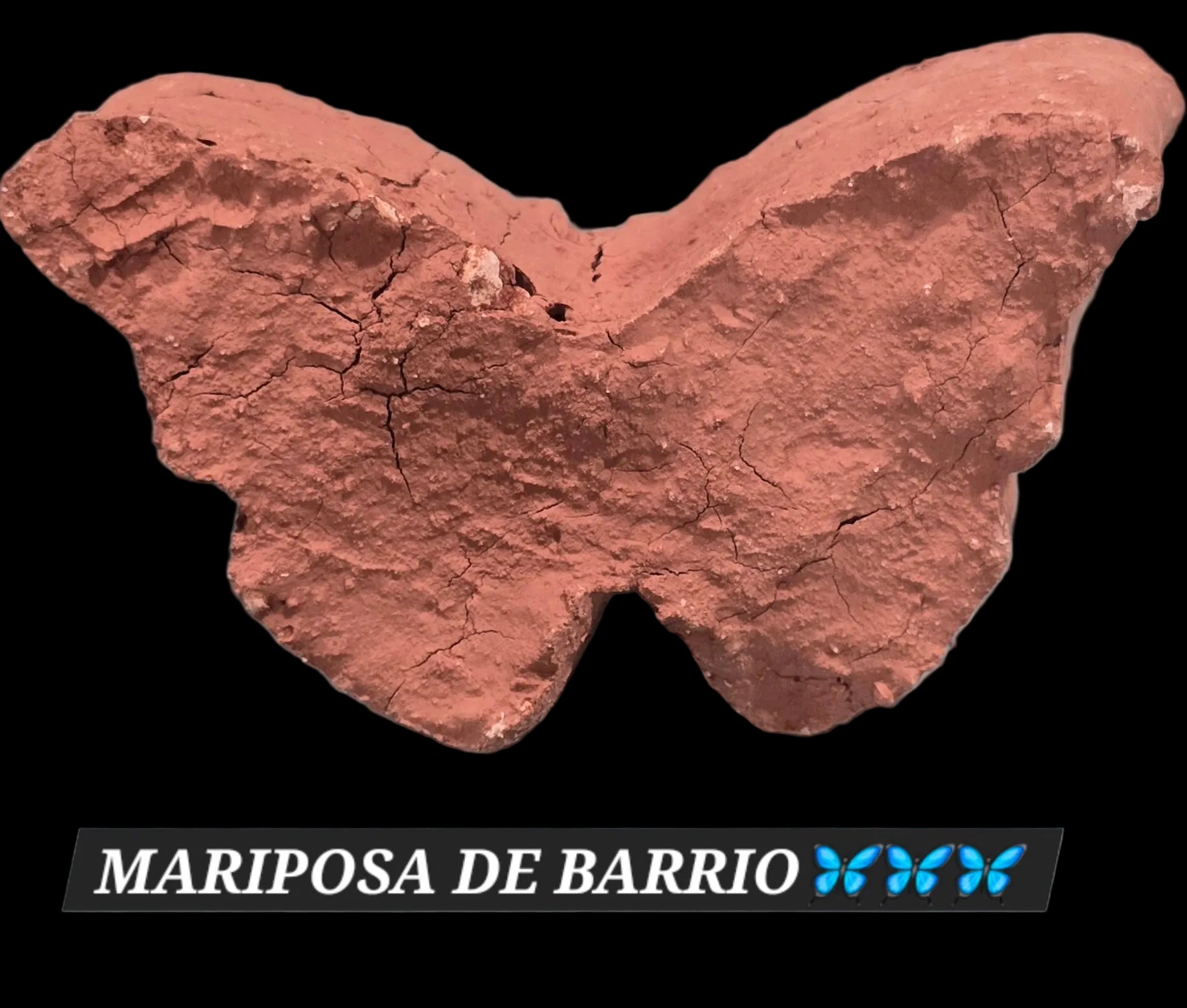 MARIPOSA DE BARRIO