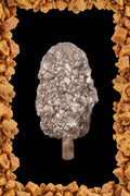 PALETA CARAMELO