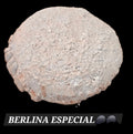 BERLINA ESPECIAL