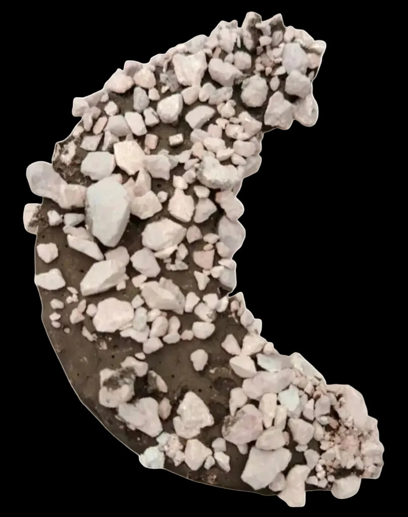 LUNA 🌛🌜🌛🌜