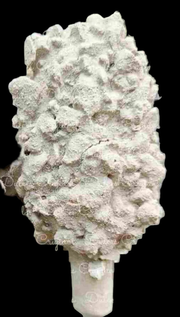 PALETA PLATINO