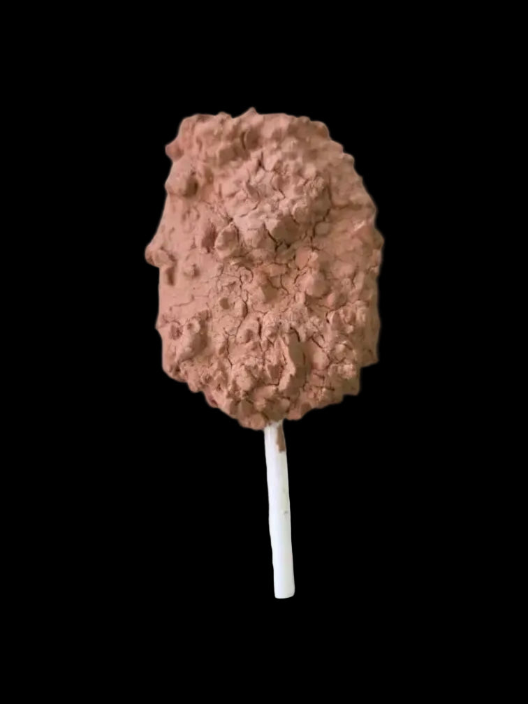 Paleta terracota