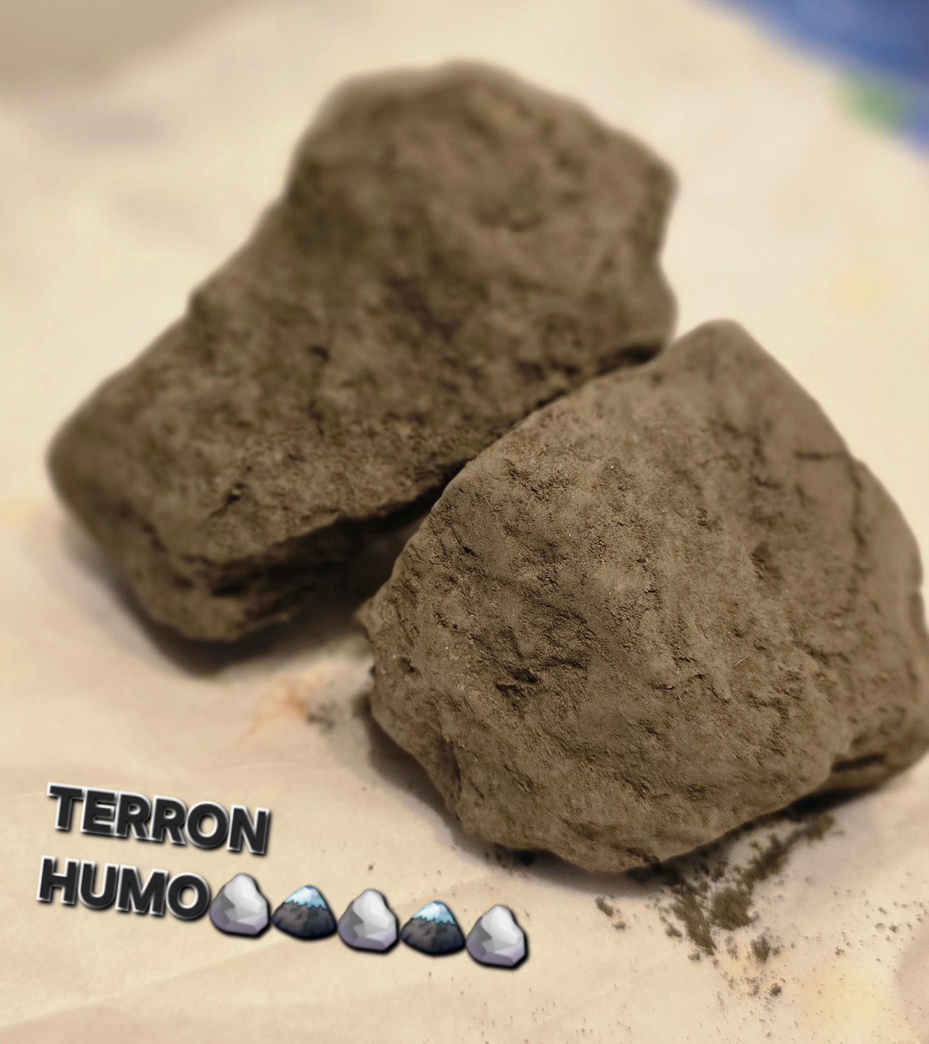 TERRON HUMO 100 GRAMOS