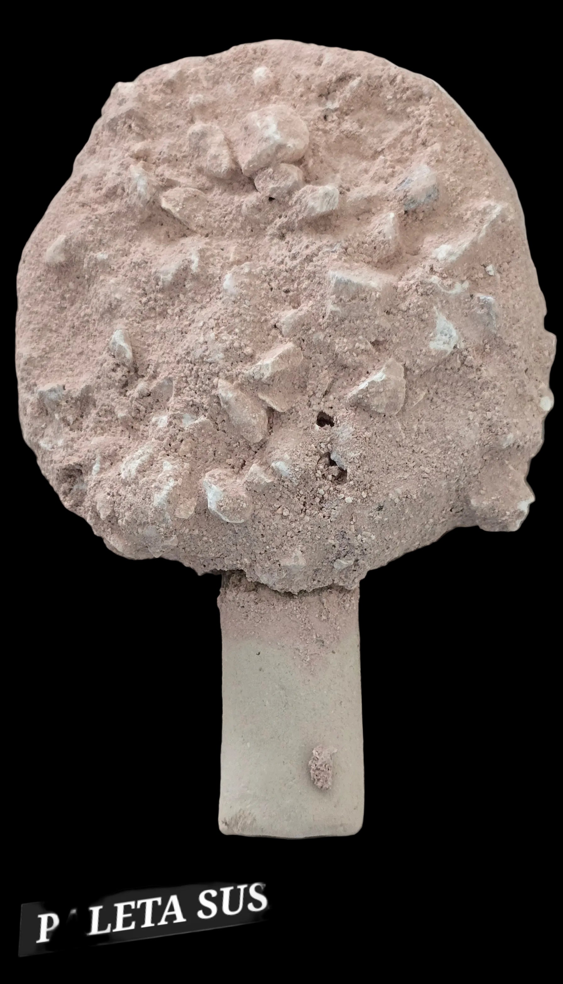 Paleta suspiro