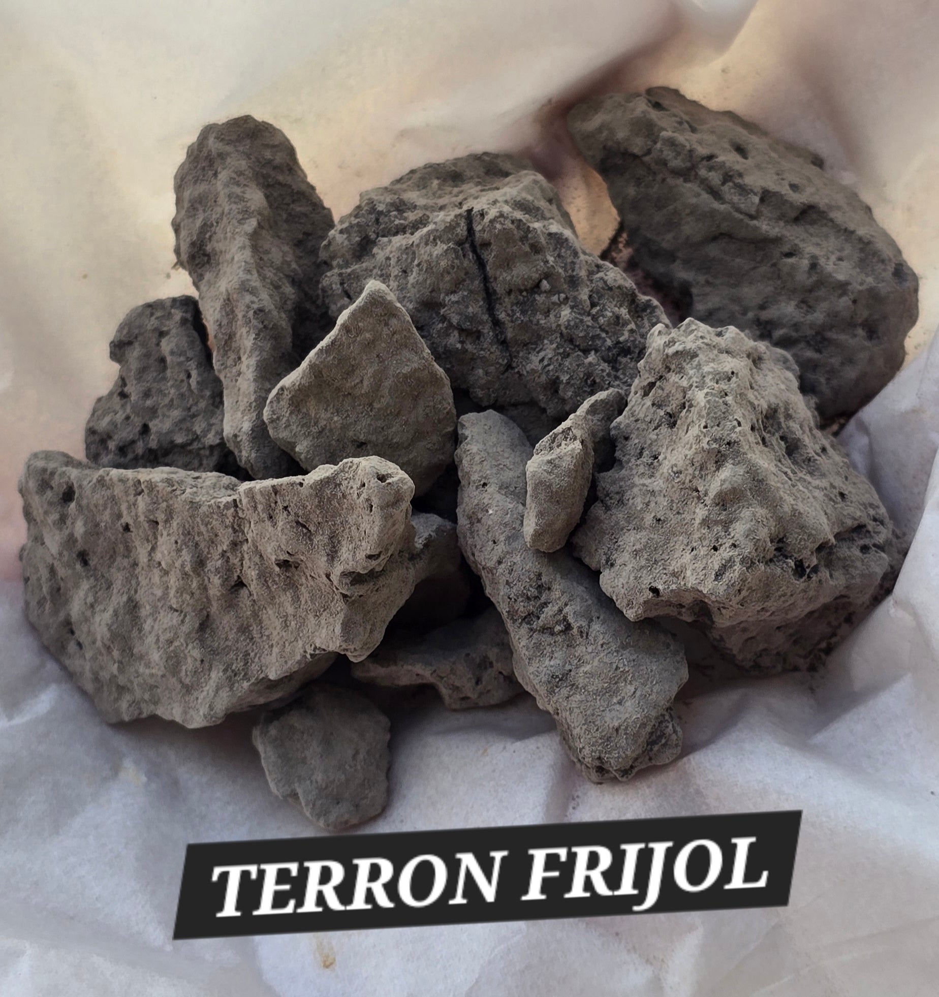 TERRON FRIJOL (100 GRMOS)