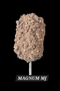 MAGNUM MJ