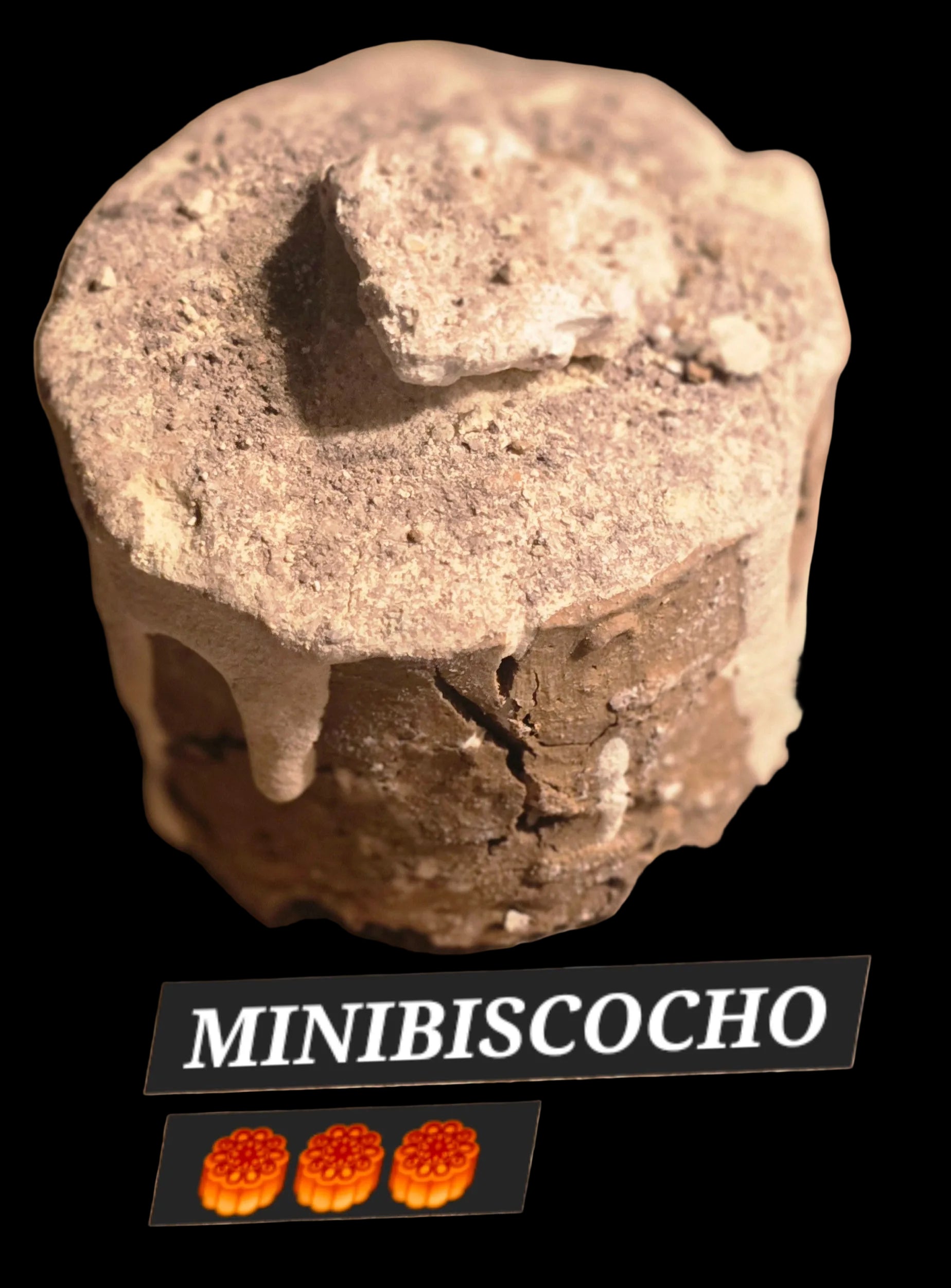 MINIBISCOCOCHO.