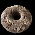 DONA EQULIBRIUM