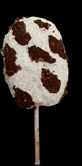 VAQUITA ROSA