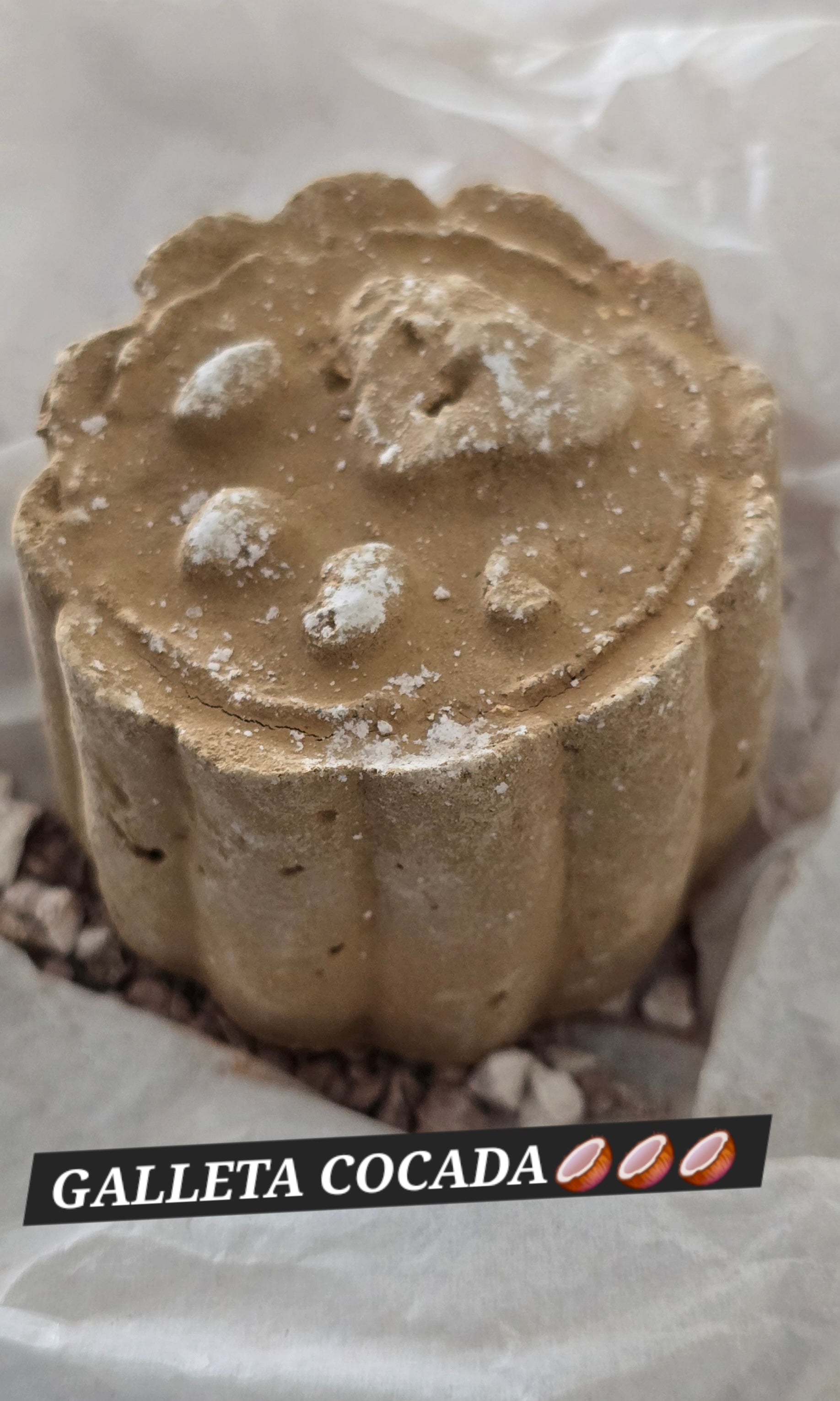 GALLETA COCADA